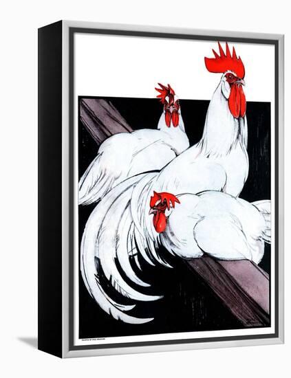 "Roosting Rooster and Hens,"December 8, 1923-Paul Bransom-Framed Premier Image Canvas