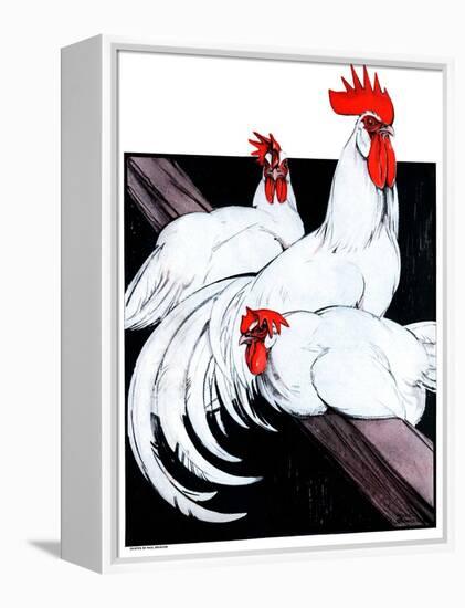 "Roosting Rooster and Hens,"December 8, 1923-Paul Bransom-Framed Premier Image Canvas