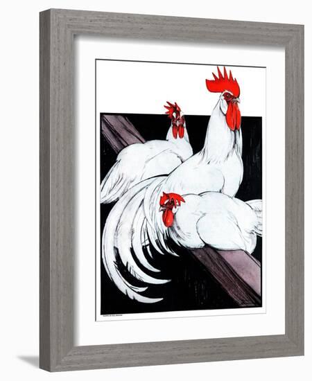 Roosting Rooster & Hens-Paul Bransom-Framed Giclee Print