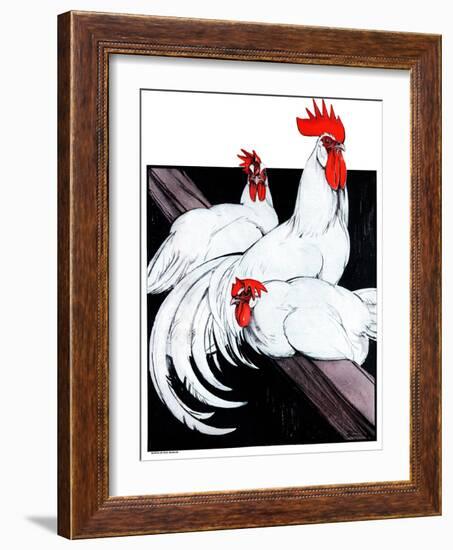 Roosting Rooster & Hens-Paul Bransom-Framed Giclee Print