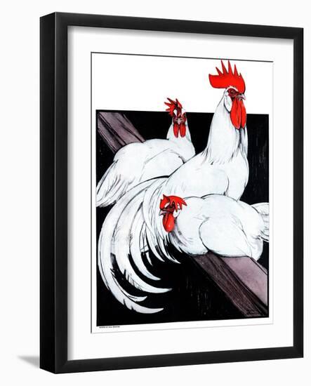 Roosting Rooster & Hens-Paul Bransom-Framed Giclee Print