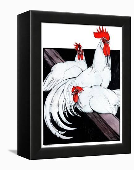 Roosting Rooster & Hens-Paul Bransom-Framed Premier Image Canvas