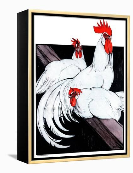 Roosting Rooster & Hens-Paul Bransom-Framed Premier Image Canvas