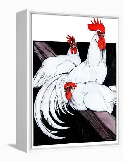 Roosting Rooster & Hens-Paul Bransom-Framed Premier Image Canvas