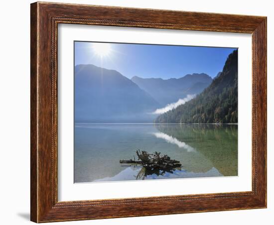 Root in lake with morning sun. Lake Plansee, Tyrol, Austria-Raimund Linke-Framed Photographic Print