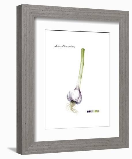 Root Vegetable I-Grace Popp-Framed Art Print