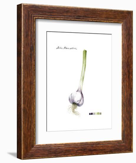 Root Vegetable I-Grace Popp-Framed Art Print