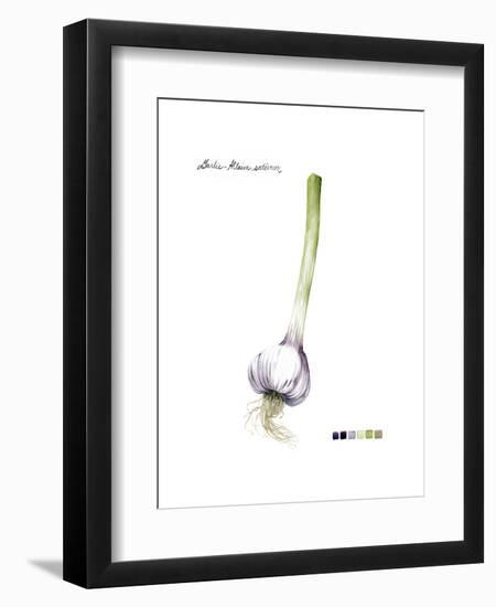 Root Vegetable I-Grace Popp-Framed Art Print