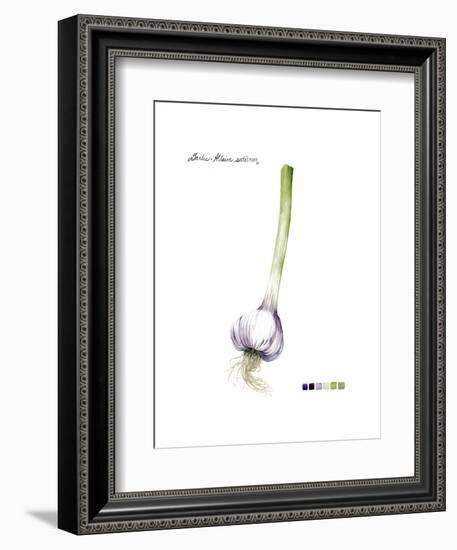 Root Vegetable I-Grace Popp-Framed Art Print