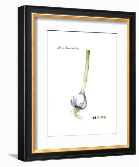 Root Vegetable I-Grace Popp-Framed Art Print