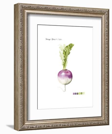 Root Vegetable VI-Grace Popp-Framed Art Print