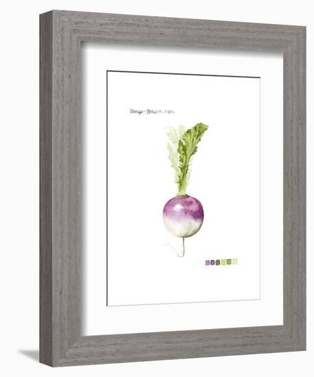 Root Vegetable VI-Grace Popp-Framed Art Print