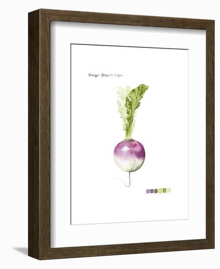 Root Vegetable VI-Grace Popp-Framed Art Print