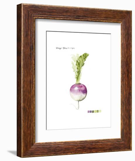 Root Vegetable VI-Grace Popp-Framed Art Print