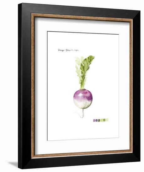 Root Vegetable VI-Grace Popp-Framed Art Print