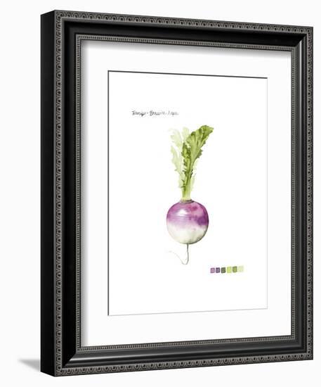 Root Vegetable VI-Grace Popp-Framed Art Print