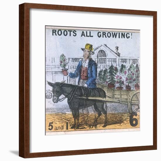 Roots All Growing!, Cries of London, C1840-TH Jones-Framed Giclee Print