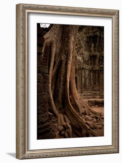 Roots and Ruins I-Erin Berzel-Framed Photographic Print