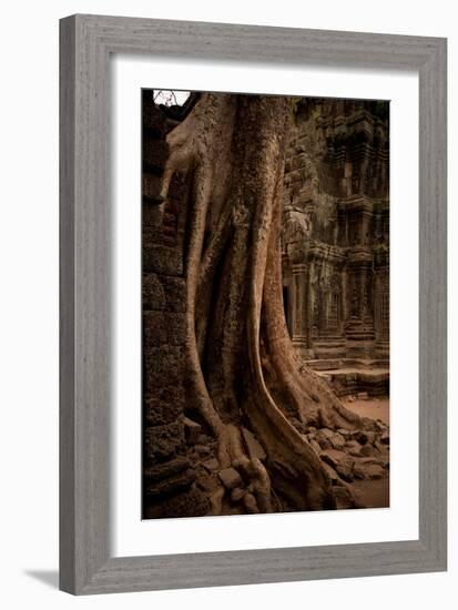 Roots and Ruins I-Erin Berzel-Framed Photographic Print