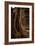 Roots and Ruins I-Erin Berzel-Framed Photographic Print