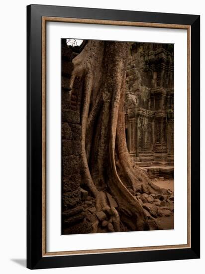 Roots and Ruins I-Erin Berzel-Framed Photographic Print