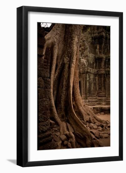 Roots and Ruins I-Erin Berzel-Framed Photographic Print