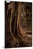 Roots and Ruins I-Erin Berzel-Mounted Photographic Print