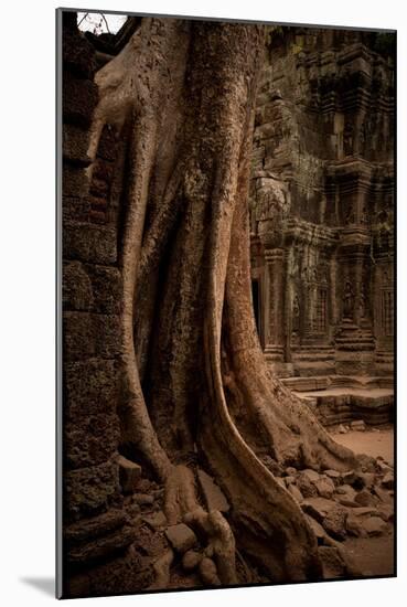 Roots and Ruins I-Erin Berzel-Mounted Photographic Print