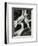 Roots, Baja, California, 1966-Brett Weston-Framed Photographic Print