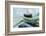 Rope anchoring boat, Klaipeda, Lithuania-Keren Su-Framed Photographic Print