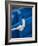 Rope, Boat, Blue, Wood, Up, Detail-Andrea Haase-Framed Photographic Print