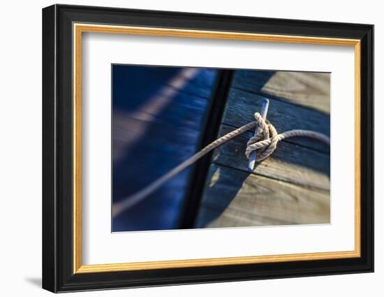 Rope Tied to a Dock in Pamet Harbor in Truro, Massachusetts. Cape Cod-Jerry and Marcy Monkman-Framed Photographic Print
