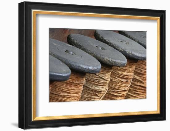 Rope Twine-Stephen Gassman-Framed Art Print