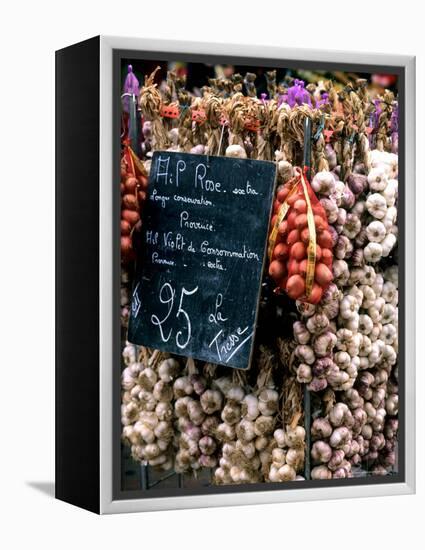 Ropes of Garlic in Local Shop, Nice, France-Bill Bachmann-Framed Premier Image Canvas