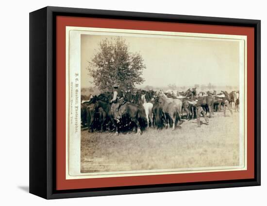 Roping and Changing Scene at --T Camp on Round Up of --T. 999 --S. and G.-John C. H. Grabill-Framed Premier Image Canvas