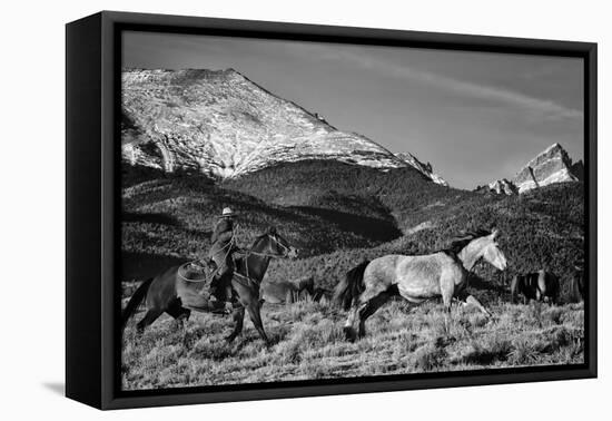 Roping the San Greys-Dan Ballard-Framed Premier Image Canvas