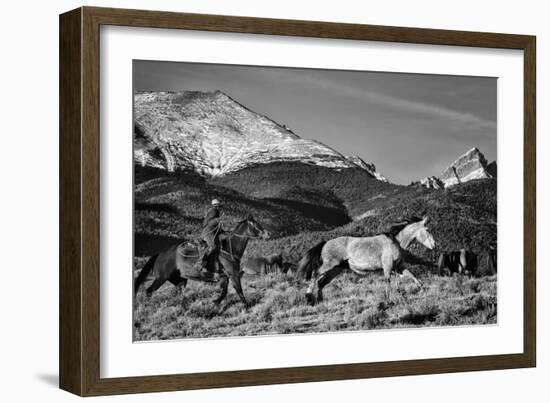 Roping the San Greys-Dan Ballard-Framed Photographic Print