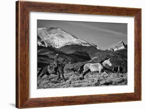 Roping the San Greys-Dan Ballard-Framed Photographic Print