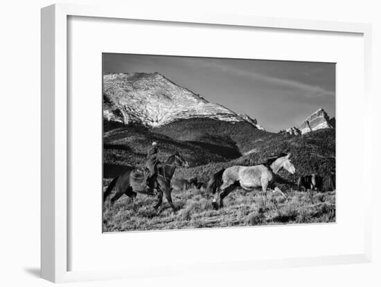 Roping the San Greys-Dan Ballard-Framed Photographic Print