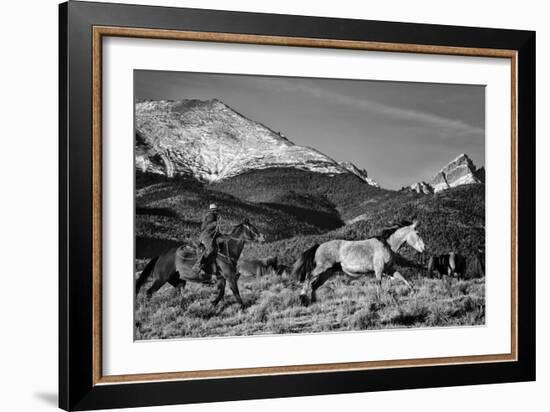 Roping the San Greys-Dan Ballard-Framed Photographic Print