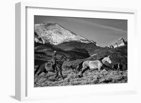 Roping the San Greys-Dan Ballard-Framed Photographic Print