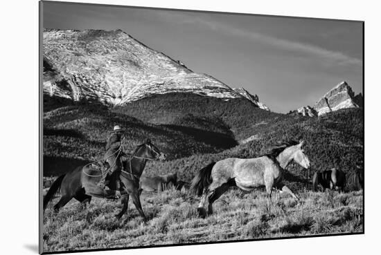 Roping the San Greys-Dan Ballard-Mounted Photographic Print