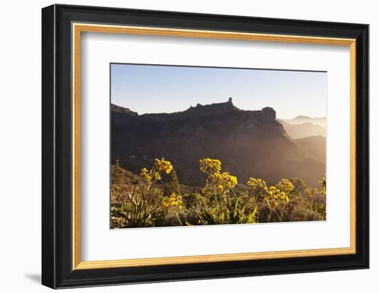 Roque Nublo, Gran Canaria, Canary Islands, Spain, Europe-Markus Lange-Framed Photographic Print