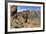 Roques Chinchado, Parque Nacional Del Teide, Tenerife, Canary Islands, 2007-Peter Thompson-Framed Photographic Print