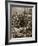 Rorke's Drift: the Morning after the Attack-null-Framed Giclee Print