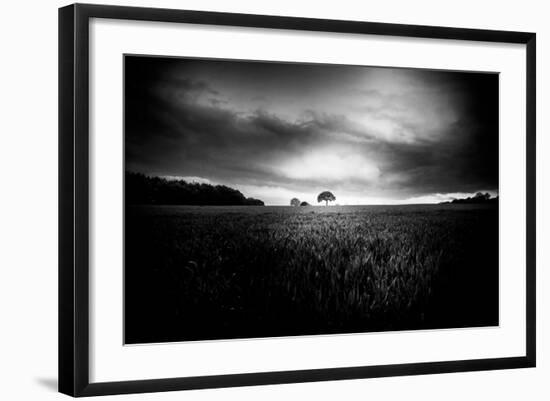 Photographic Print, , large
