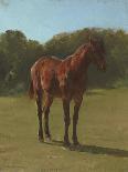 Etude de cheval bai cerise-Rosa Bonheur-Giclee Print