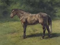 White Horse in a Pre. Painting by Rosa Bonheur (1822-1899), 19Th Century. Oil on Canvas. Dim: 0.34-Rosa Bonheur-Giclee Print