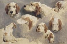 Etude de chien de chasse ; 8 esquisses-Rosa Bonheur-Giclee Print