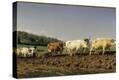 Stretched Canvas Print